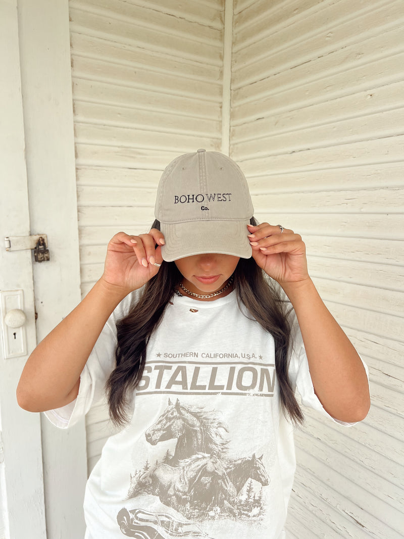 BW dad hat - Stone